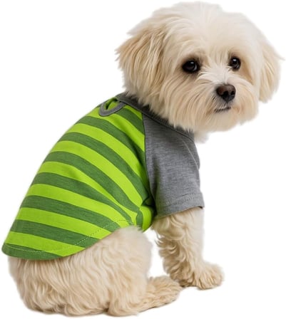 Kedi ve Köpek Kıyafeti &amp; Elbisesi Yeşil Gri T Shirt XL