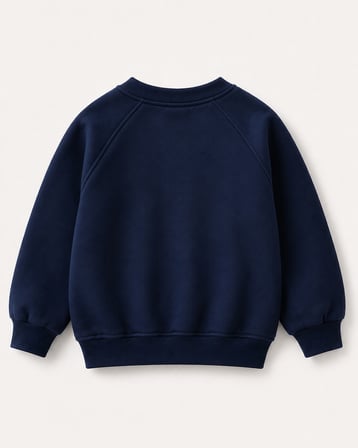 Çocuk Elma Figürlü Raglan Sweatshirt | 3–9 Yaş | 3 Renk | RG1794