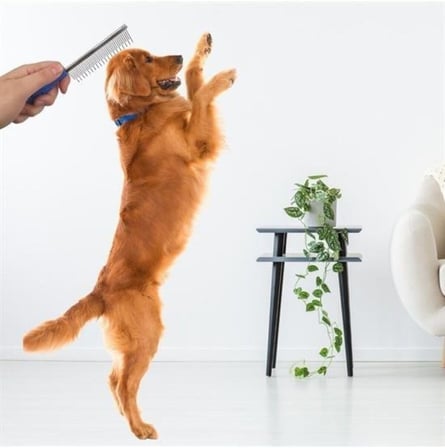 DUFFA Ergonomik Kedi Ve Köpek Tüy Açma Tarağı, Köpek Kıtık Açıcı Bakım Tarağı, Metal Tarama Fırçası, Tüy Dökme Önleyici