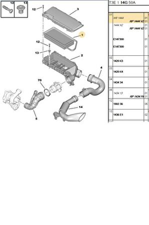 Hava Filtresi DW4 (E147300-1444VZ)