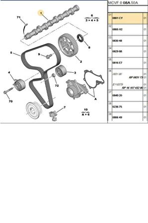 Eksantrik Mili 206 307 Focus Fiesta 1,4HDI DW4 (EST14049-0801CY)