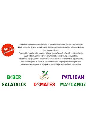 Fideler Her Yerde Karışık Fide Paketi Domates(2 ADET) Biber(2 ADET) Patlıcan(2 ADET)