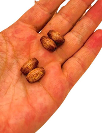 Angel Çanta Aksesuar 8 Mm Ahşap Oval Boncuk Taba Renk 50 Gr