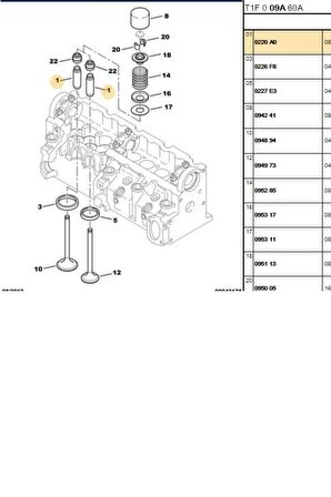 Gayd Partner Boxer 19 XUD7 DW8 XUD9 DW8 (G0290-0220A0)