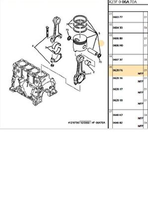 Piston Sekman 0,50 Partner Berlingo (3879050-0628F6)