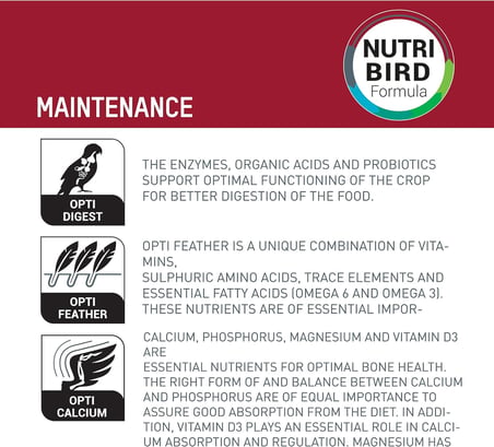 Verselelaga Nutribird P15 Original Papağan Pelet Yem 1 Kg, 810-422125
