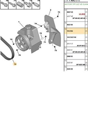 Alternatör Kayışı 206 TU1 TU3JP TU5JP (5750Y9-6PK1330)