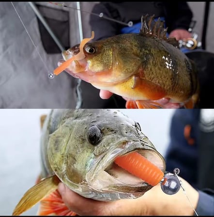 S.F. Jig Head Set - 60 Adet - 1g, 2g, 4g, 7g, 10g, 12g, 15g