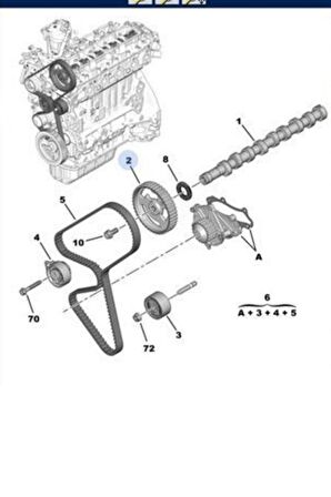 Eksantrik Dişlisi EURO6DW6C Peugeot Citroen Tüm Seri (9820634180-1613181480)