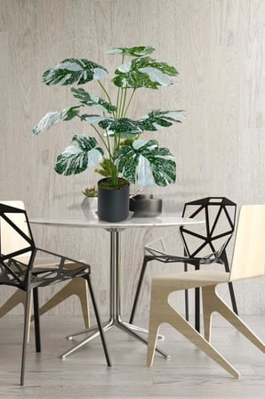 Yapay Çiçek Saksıda Monstera Yeşil Beyaz Deve Tabanı 12Dal 70cm Salon Çiçeği Yapay Bitki