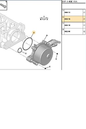 Vakum Oring (455616)