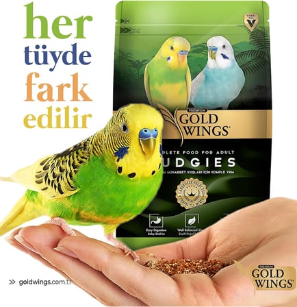 Gold Wings Premium Muhabbet Yemi, 1 Kg