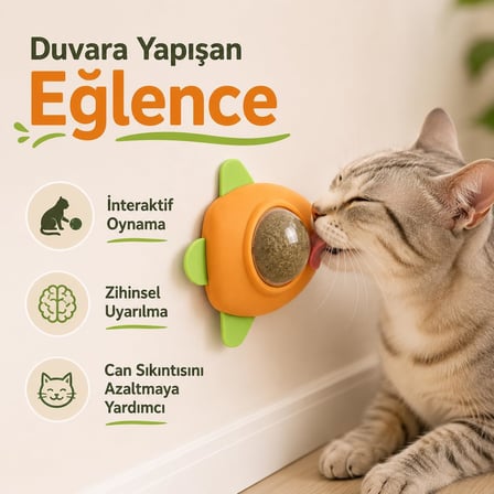 SOGUD Kedi Nanesi Oyuncağı - Kedi Otu İçeren 360° Dönen Catnip Topu - Duvara Yapışan Yalama ve Isırma Oyuncağı - Şeffaf Kapaklı Avokado Tasarım - Ev Kedileri İçin Aktivite Ürünü (1 ADET)