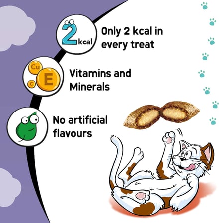 Dreamies Kuru Kedi Ödül Maması, Ördekli, 60 G x 6 Adet (1 Kutu)