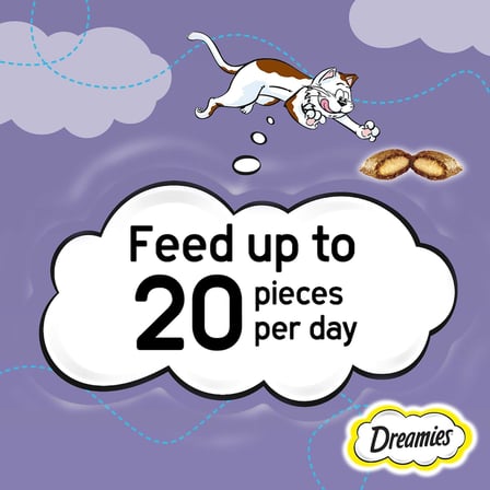 Dreamies Kuru Kedi Ödül Maması, Ördekli, 60 G x 6 Adet (1 Kutu)