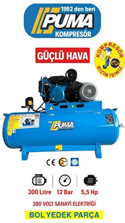 Puma 300 LT DÖKÜM KAFA KOMPRESÖR 5,5 HP, ÇİFT KADEME 12 BAR, 2 PİSTON, 380 V