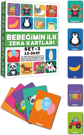 Erken Eğitim Zeka Kartı 12-24 Ay Set 3