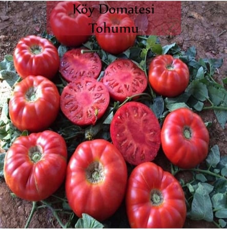 Köy Domatesi Tohumu 1 Paket (3Gr=850+ Adet) Domates Tohumu