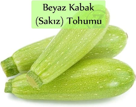 Beyaz Kabak Tohumu 1 Paket (10Gr=100+ Adet) Sakız Kabak Tohumu