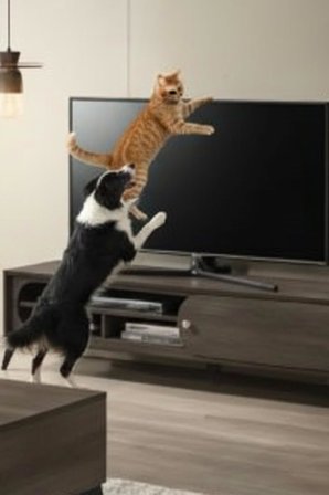 Lcd Led TV Askısı Dolap Gardırop Büfe Kitaplık Sabitleme Bebek Çoçuk Kedi Köpek Koruma Deprem Güvenlik Kemeri (1 Takım 2 Kemer)