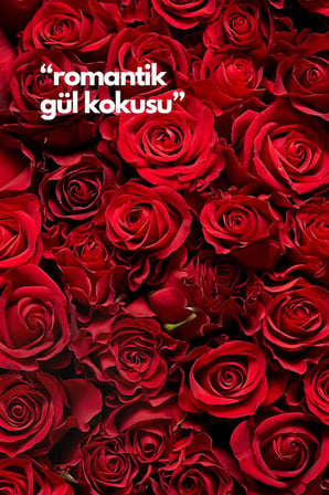 Nature'S Scents Rose- Gül Oda Kokusu Yedek Makine Spreyi 250 Ml X3 Adet