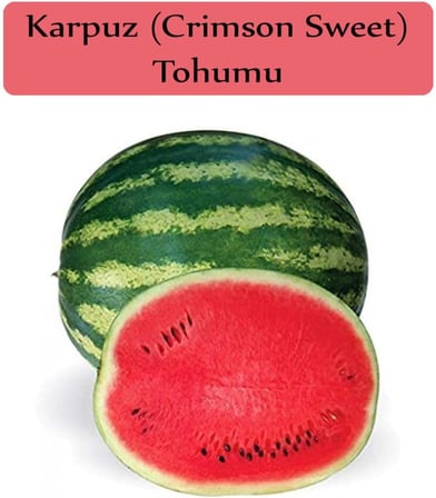 Karpuz Tohumu 1 Paket (10Gr=100+ Adet) Crimson Sweet Karpuz Tohumu