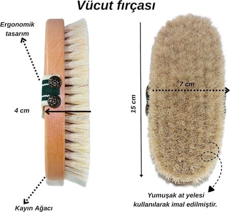 %100 At Kılı Vucüt Bakım Fırçası, Yüz Fırçası, Topuk (Ponza) Taşı Ve Kese, Kuru Fırçalama, Selülit/Varis/Kırışık Giderici, Hücre Yenileme, Gençleştirici Sıkılaştırıcı, Doğal Peeling, (4 Adet)