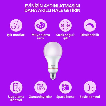 Smart Lighting LED Ampul A60 E27 60W Eşdeğer RGB 2'li Paket - Google Home, Alexa, HomeKit ve Matter uyumlu