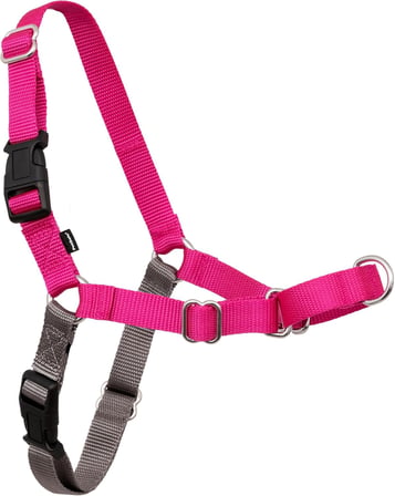 Easy Walk No-Pull Köpek Göğüs Tasması, Çekmeyi Önlemeye Yardımcı, Kontrolü Ele Alın ve Tasmayla Daha İyi Yürümeyi Öğretin, Evcil Hayvanların Yürürken Çekmesini Önlemeye Yardımcı