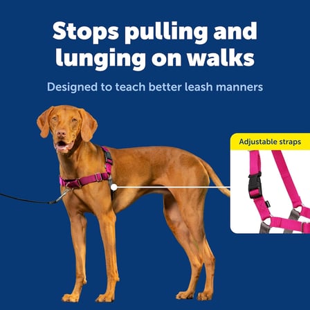 Easy Walk No-Pull Köpek Göğüs Tasması, Çekmeyi Önlemeye Yardımcı, Kontrolü Ele Alın ve Tasmayla Daha İyi Yürümeyi Öğretin, Evcil Hayvanların Yürürken Çekmesini Önlemeye Yardımcı