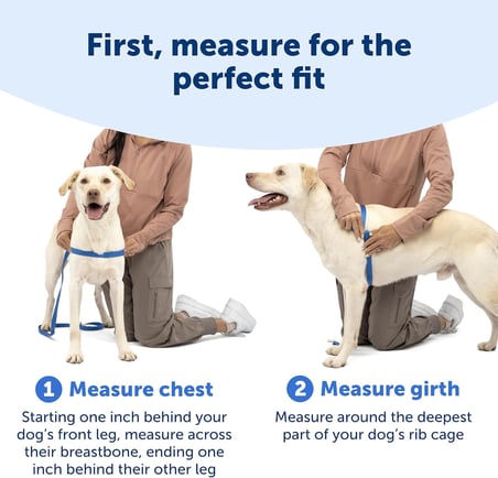 Easy Walk No-Pull Köpek Göğüs Tasması, Çekmeyi Önlemeye Yardımcı, Kontrolü Ele Alın ve Tasmayla Daha İyi Yürümeyi Öğretin, Evcil Hayvanların Yürürken Çekmesini Önlemeye Yardımcı
