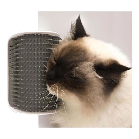 Kediler Için Sırt Kaşıma Köşeliği