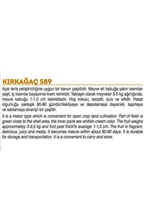 Kavun Kırkağaç-589 Tip 100 Adet Tohum