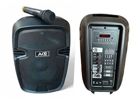ACE AUDIO PAQ-10 120 WATT ŞARJLI AMFİ