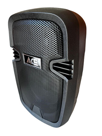 ACE AUDIO PAQ-8BL 100 WATT ŞARJLI AMFİ