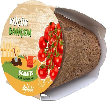 Küçük Bahçem Çeri Domates Tohumu Yetiştirme Seti