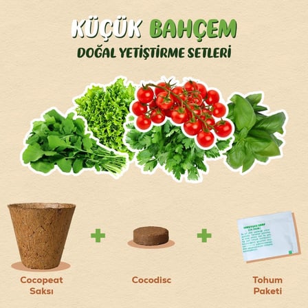 Küçük Bahçem Çeri Domates Tohumu Yetiştirme Seti