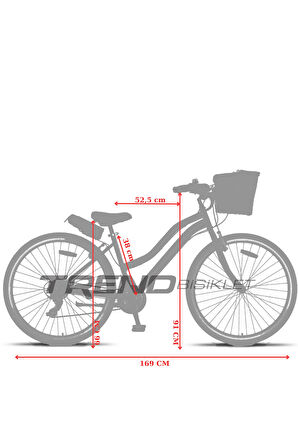 Trendbisiklet Retro Classic 26 Jant 21 Vites SHIMANO Bisiklet, Mint Yeşili-Kahve