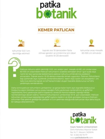 150 Adet Yerli Ata Kemer Patlıcan Tohumu
