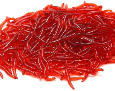 100 Adet Kokulu 3,5cm Yapay Silikon Solucan Balık Yemi - Gerçekçi Görünüm - Parfümlü