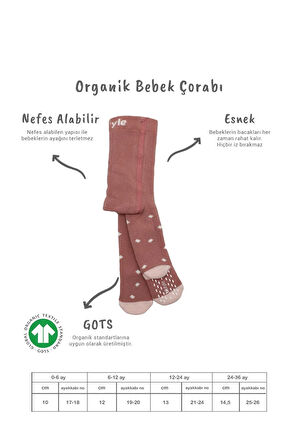 Bistyle Tekli Puan Kaymaz Havlu Külotlu Çorap BS50502 Pudra