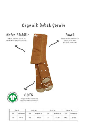 Bistyle Tekli Puan Kaymaz Havlu Külotlu Çorap BS50502 Hardal