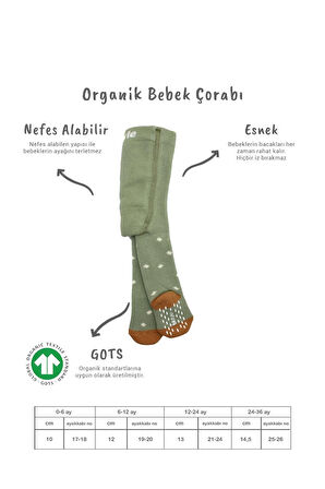 Bistyle Tekli Puan Kaymaz Havlu Külotlu Çorap BS50502 Nil