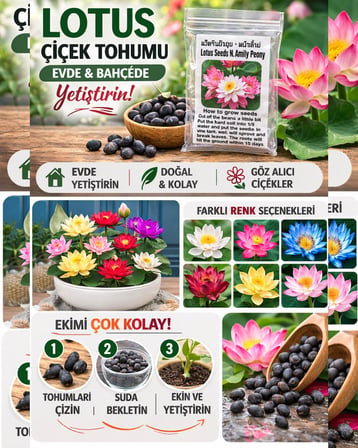 20 Adet Lotus Çiçeği Tohumu Nilüfer Çiçeği Karışık Renkli Orjinal Lotus Su ve Toprakta Yetişir