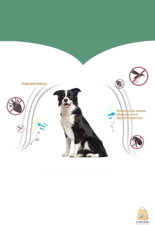Köpek Anti Pire Kene Önleyici Tasma- Pire Önleyici -Kene Önleyici 63 cm
