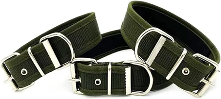 Yumuşak Dokulu Kolon Köpek Tasması (L, Kırmızı)