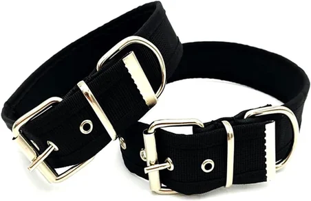 Yumuşak Dokulu Kolon Köpek Tasması (L, Kırmızı)