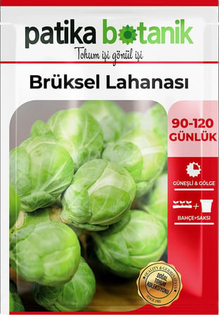 150 Adet Yerli Ata Brüksel Lahana Tohumu