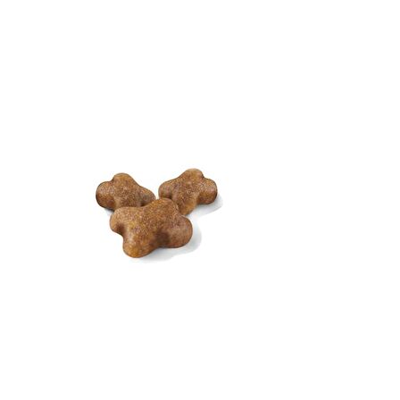Royal Canin Yavru Kediler için Kuru Kedi Maması 2kg