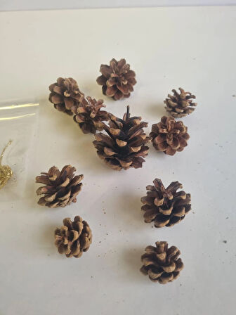 (Boyasız)10'lu Ham Doğal Kozalak Seti – Simli Gold İpli Yılbaşı Çam Ağacı Etkinlik Süsü